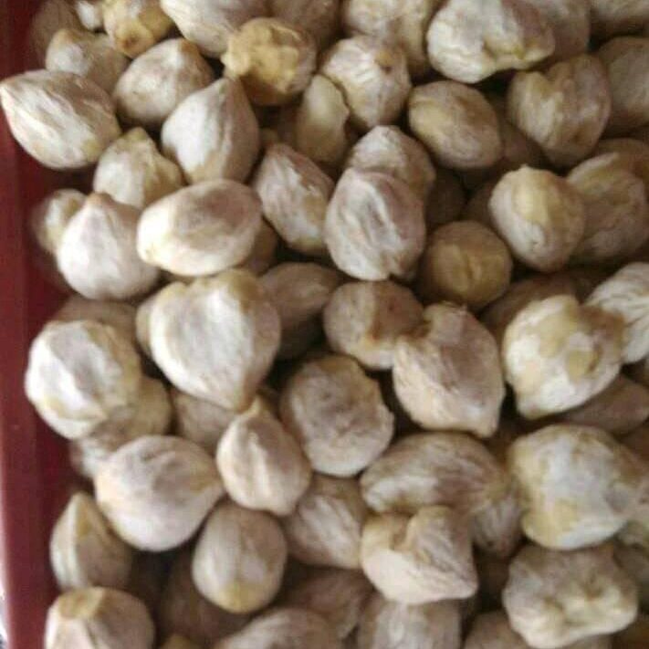 216965264_106642728365787_696614770438174150_n