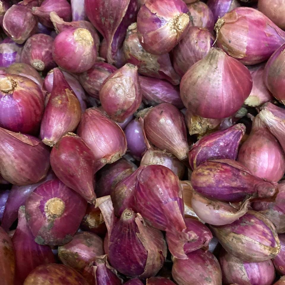 Bawang Merah_01