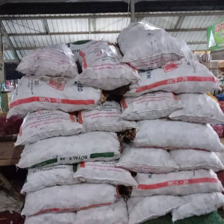 Jahe Putih _ Jahe Merah